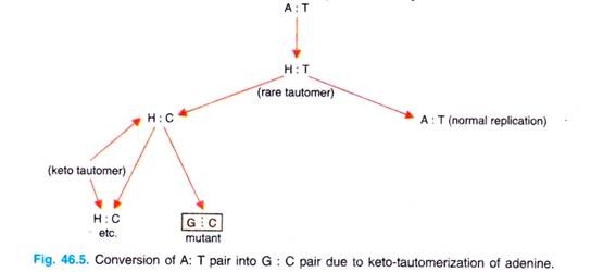 Conversion of A