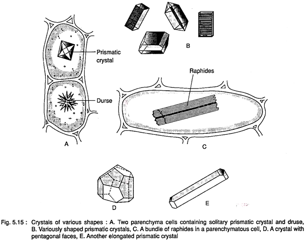 Crystals of Various Shapes